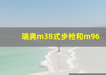 瑞典m38式步枪和m96