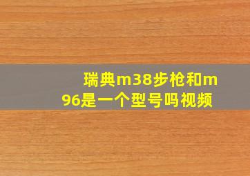 瑞典m38步枪和m96是一个型号吗视频