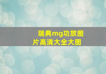 瑞典mg功放图片高清大全大图