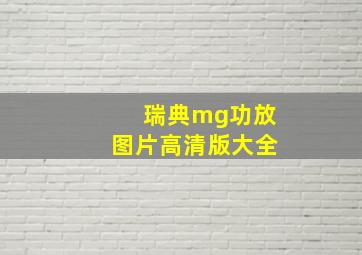 瑞典mg功放图片高清版大全