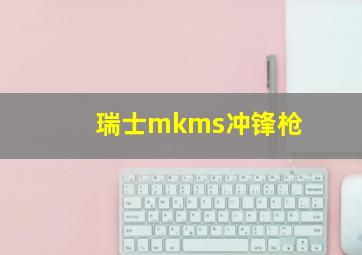 瑞士mkms冲锋枪