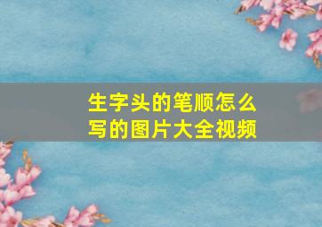 生字头的笔顺怎么写的图片大全视频