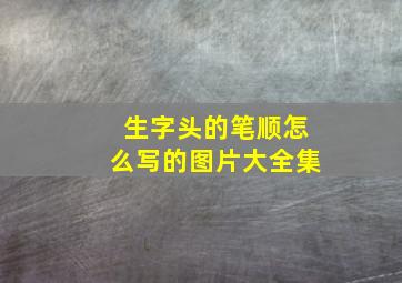 生字头的笔顺怎么写的图片大全集