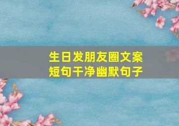 生日发朋友圈文案短句干净幽默句子