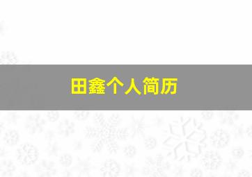 田鑫个人简历