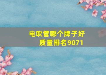 电吹管哪个牌子好质量排名9071