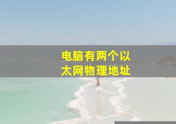 电脑有两个以太网物理地址