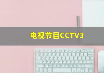 电视节目CCTV3