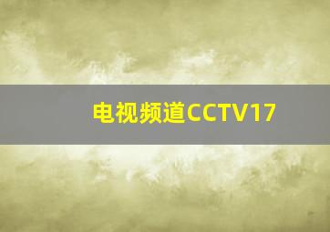 电视频道CCTV17