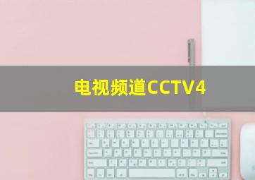 电视频道CCTV4