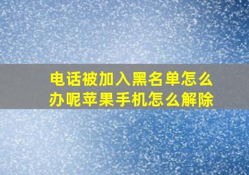 电话被加入黑名单怎么办呢苹果手机怎么解除