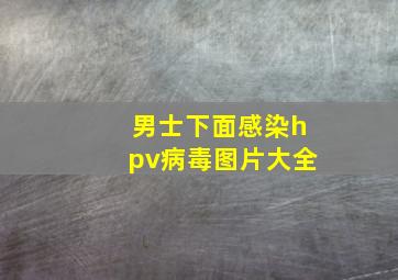 男士下面感染hpv病毒图片大全