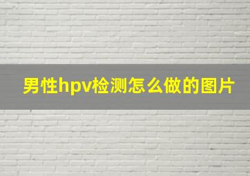 男性hpv检测怎么做的图片