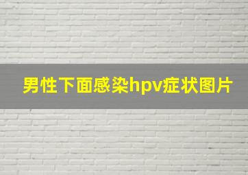 男性下面感染hpv症状图片