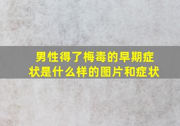 男性得了梅毒的早期症状是什么样的图片和症状