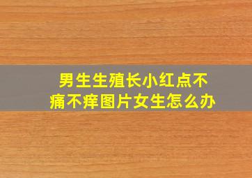 男生生殖长小红点不痛不痒图片女生怎么办