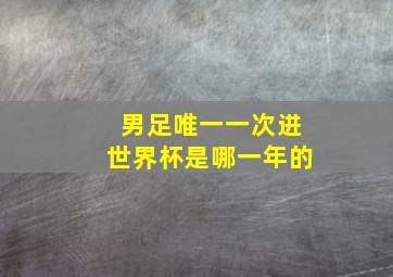 男足唯一一次进世界杯是哪一年的