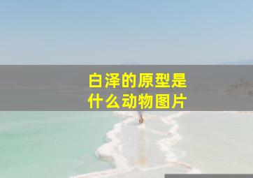 白泽的原型是什么动物图片