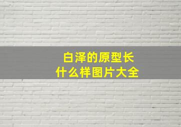 白泽的原型长什么样图片大全