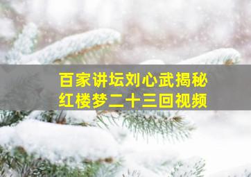 百家讲坛刘心武揭秘红楼梦二十三回视频