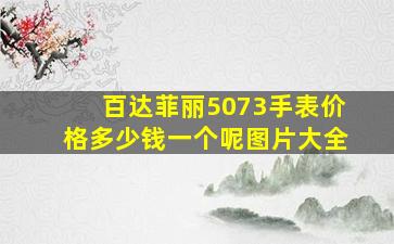 百达菲丽5073手表价格多少钱一个呢图片大全