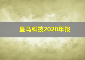 皇马科技2020年报