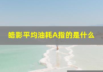 皓影平均油耗A指的是什么