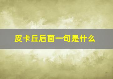 皮卡丘后面一句是什么