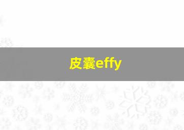 皮囊effy