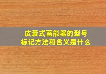 皮囊式蓄能器的型号标记方法和含义是什么