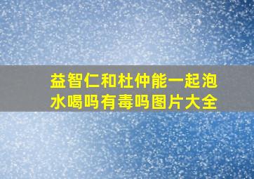 益智仁和杜仲能一起泡水喝吗有毒吗图片大全