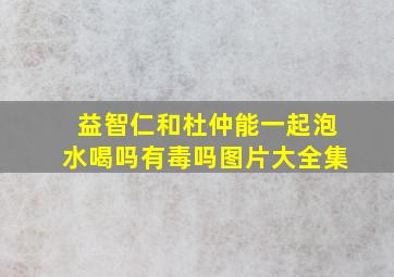 益智仁和杜仲能一起泡水喝吗有毒吗图片大全集