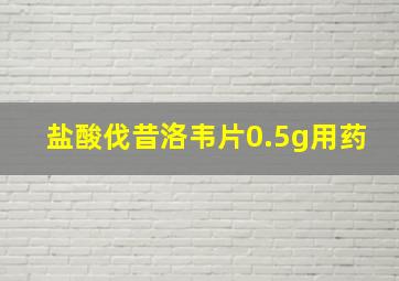 盐酸伐昔洛韦片0.5g用药