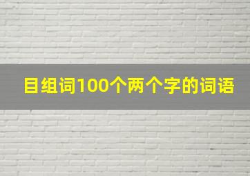 目组词100个两个字的词语