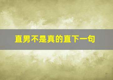 直男不是真的直下一句