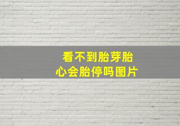 看不到胎芽胎心会胎停吗图片