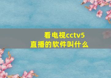 看电视cctv5直播的软件叫什么