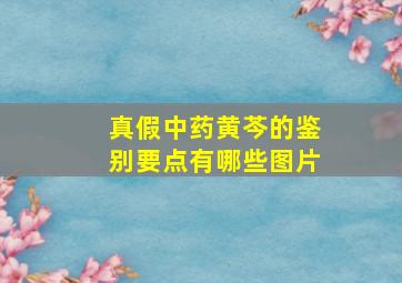 真假中药黄芩的鉴别要点有哪些图片