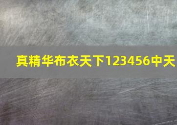 真精华布衣天下123456中天