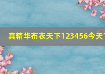 真精华布衣天下123456今天1