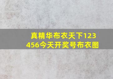 真精华布衣天下123456今天开奖号布衣图