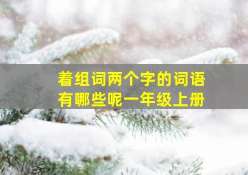 着组词两个字的词语有哪些呢一年级上册