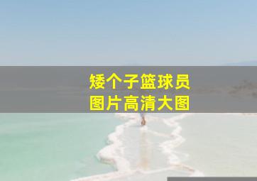 矮个子篮球员图片高清大图