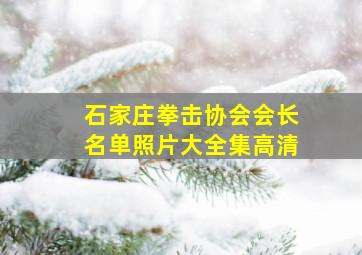 石家庄拳击协会会长名单照片大全集高清