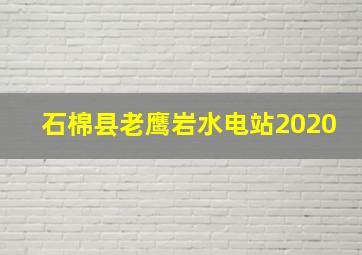 石棉县老鹰岩水电站2020