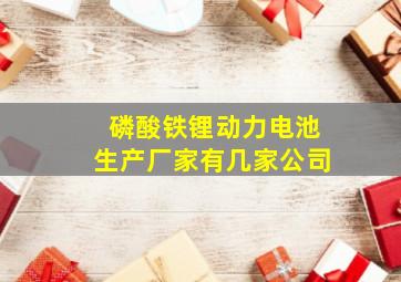 磷酸铁锂动力电池生产厂家有几家公司