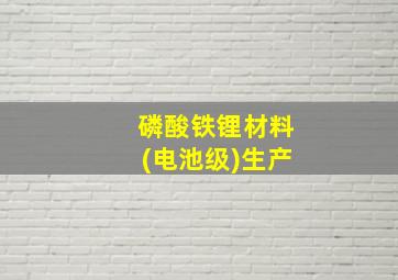 磷酸铁锂材料(电池级)生产