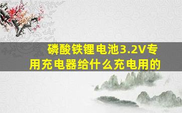 磷酸铁锂电池3.2V专用充电器给什么充电用的