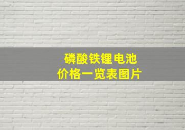 磷酸铁锂电池价格一览表图片