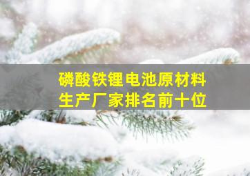 磷酸铁锂电池原材料生产厂家排名前十位